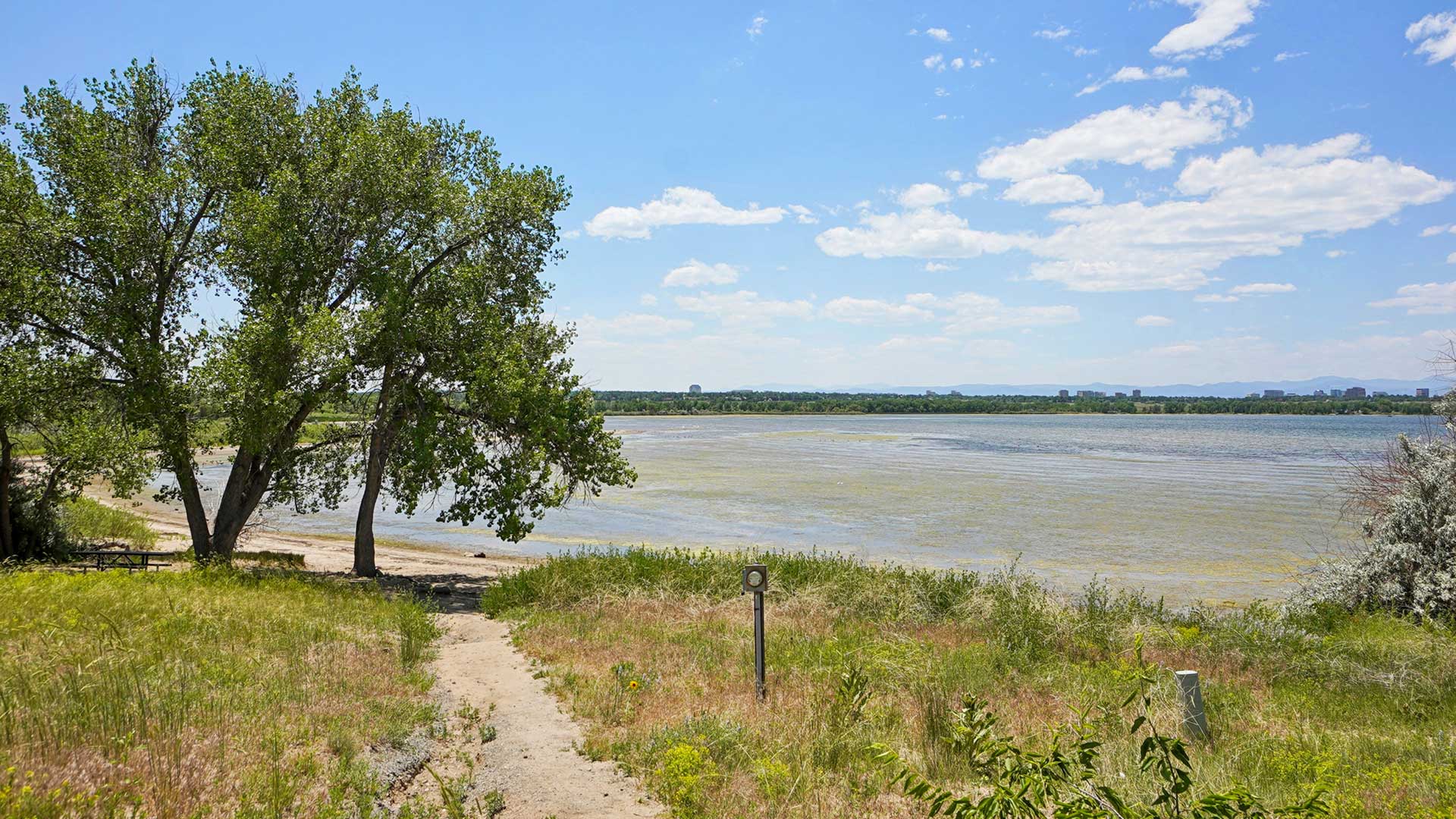 A walking path leading toward Cherry Creek Reservoir with grassy shoreline, mature trees, open water, and distant mountain views under a bright blue sky.